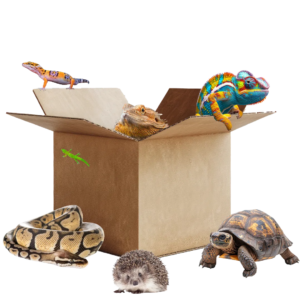 Deluxe Animal Encounter Package