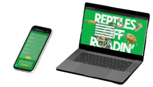 Book your encounter with Reptiles Off Roadin'